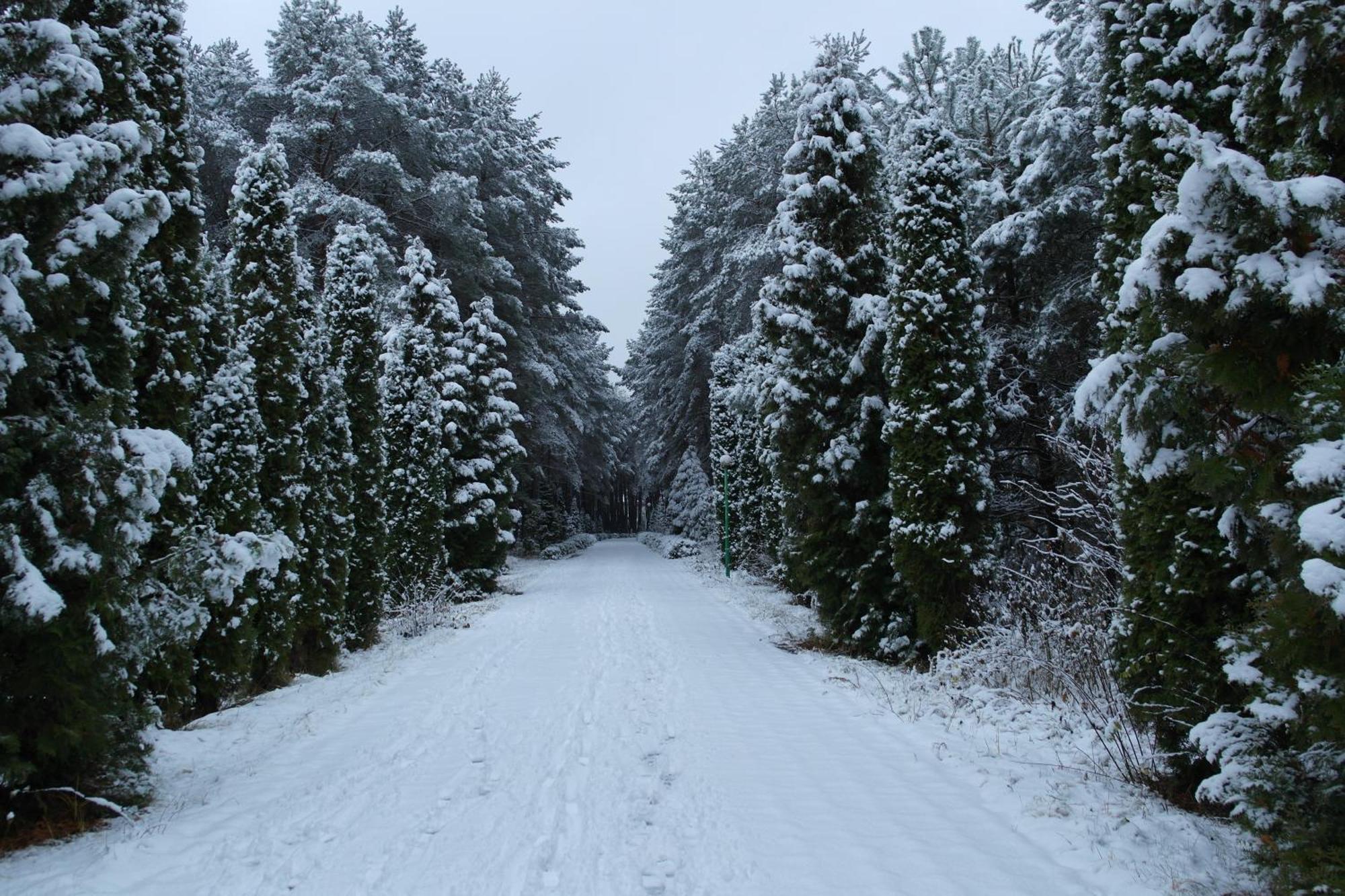 Санаторій Червона Калина Zhobryn Экстерьер фото